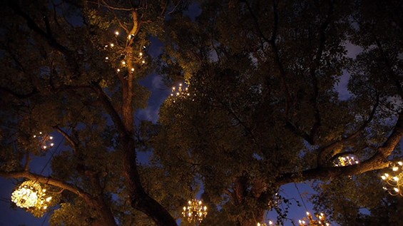 Colin-Kennedy-Adam-Tenenbaum-video2