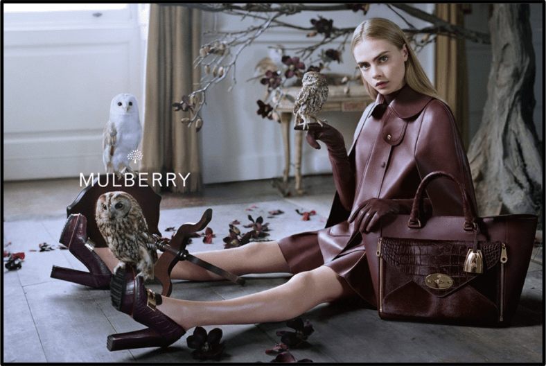 mulberry-2