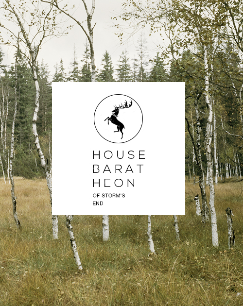 tumblr_n5c5f3mJbe1qjx2cvo4_500