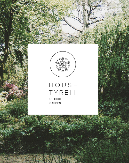 tumblr_n5c5f3mJbe1qjx2cvo5_500