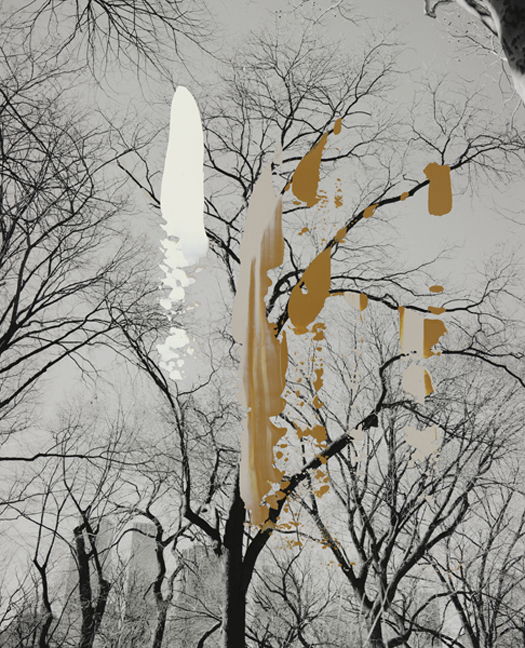 centra-_park_flat_8bitsmall