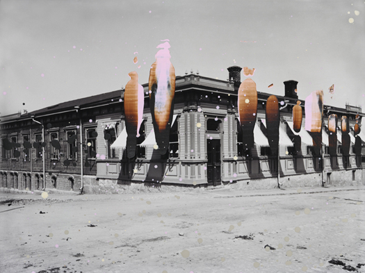 pinkkimarkiisi_120pros_dust_unsharp