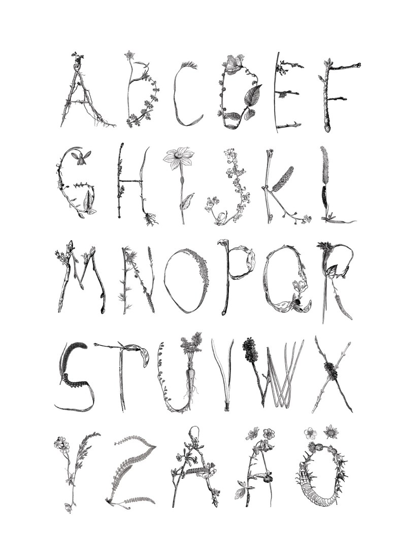 6938-33cddc93b1844fa1b97e1b6fc558c267