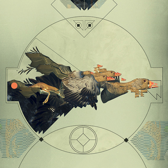 f401ae46159521.5607c5672990e