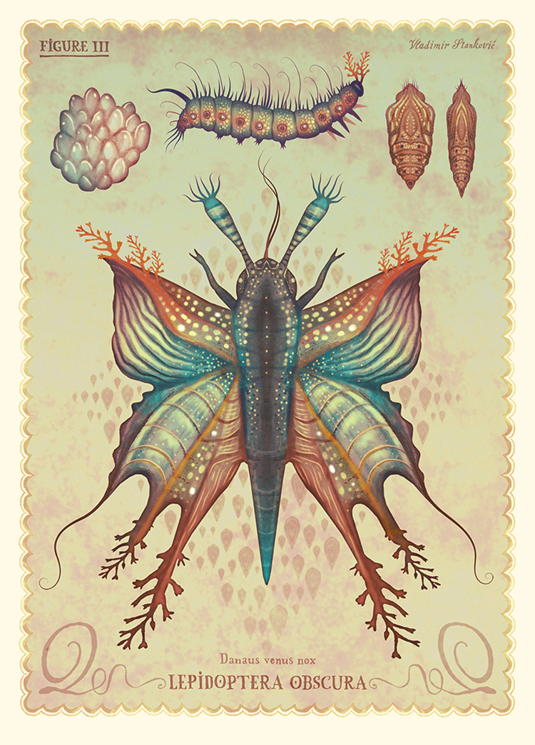 VladimirStankovic_03