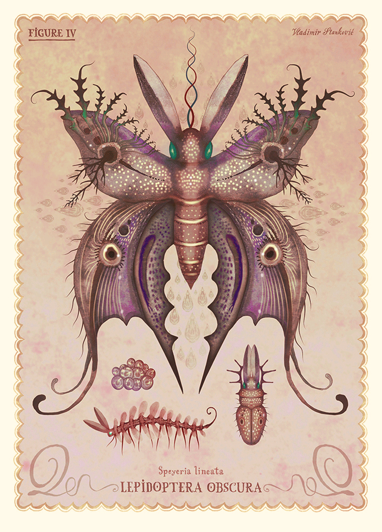 VladimirStankovic_06