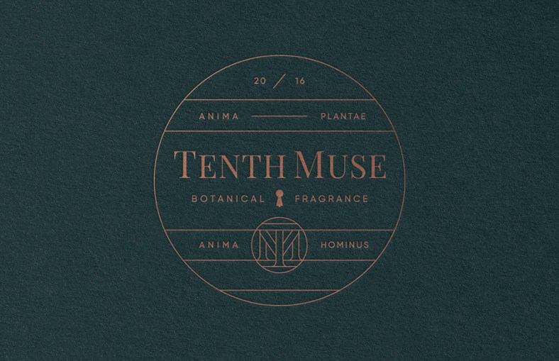 tenthmuse-studiompls-mrcup-01