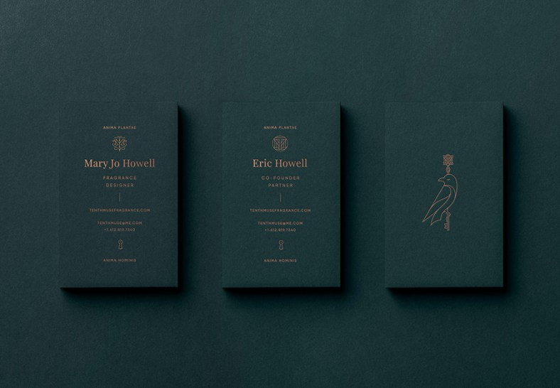 tenthmuse-studiompls-mrcup-05