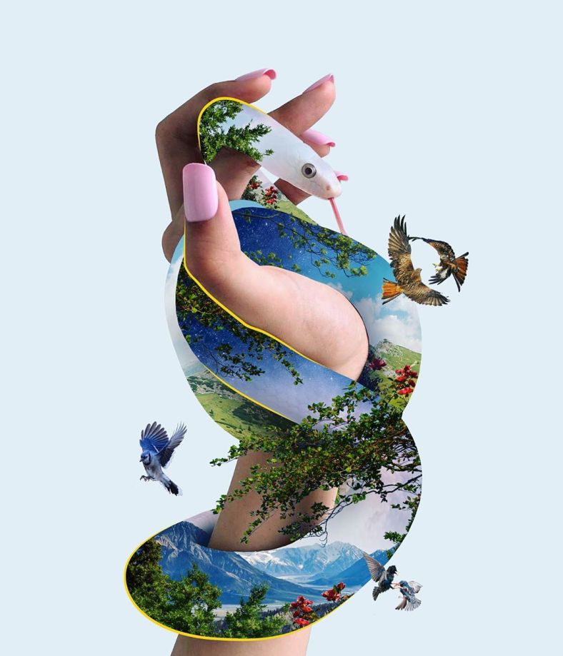 mixed-media-collages-of-charles-bentley-1